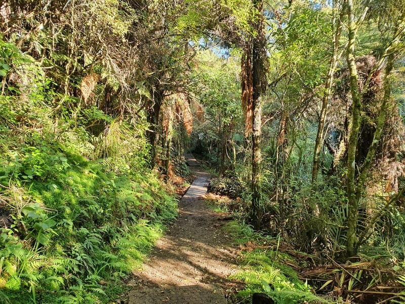 karangahake forest track