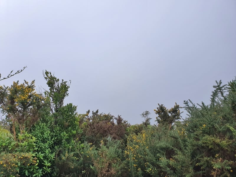 a cloudy view of mount karangahake