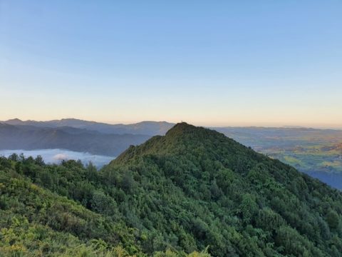 8 FUN WALKS IN THE KAIMAI RANGES | CHUR NEW ZEALAND