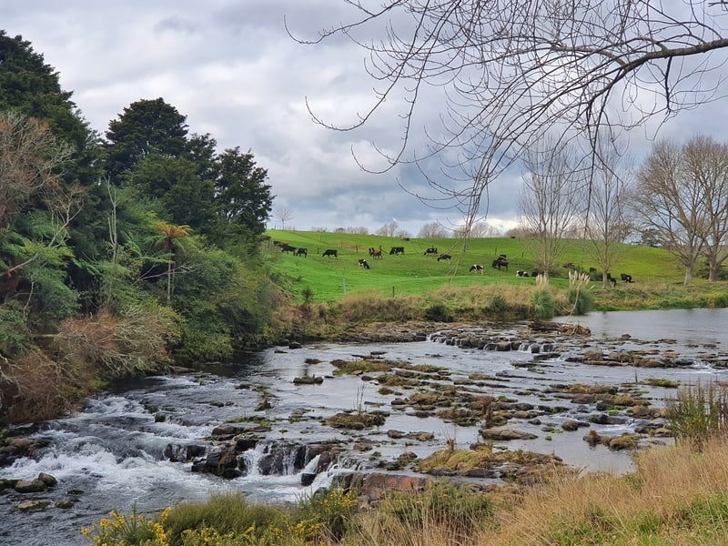 river with rapids on the hauraki rail tral