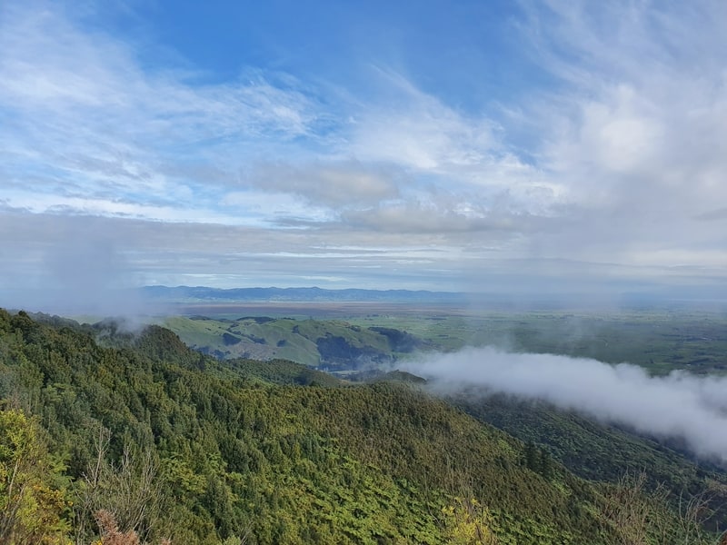 views near the mount karangahake summit