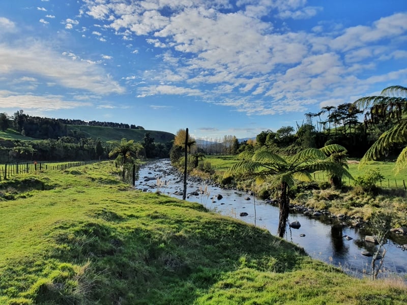 waitawheta river views