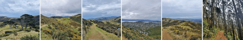 wellingtons skyline walkway