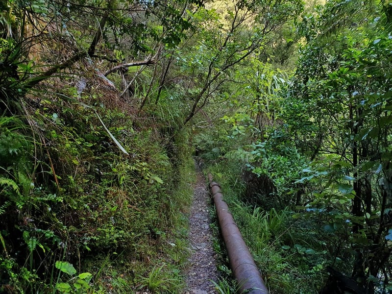 old pipe running parralell with a walking track in esson valley