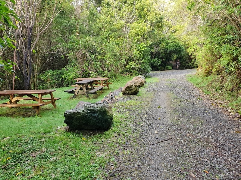 picnic tables in esson valley