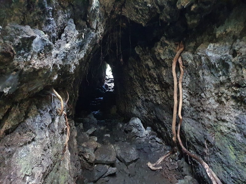 inside a cave on rangitoto