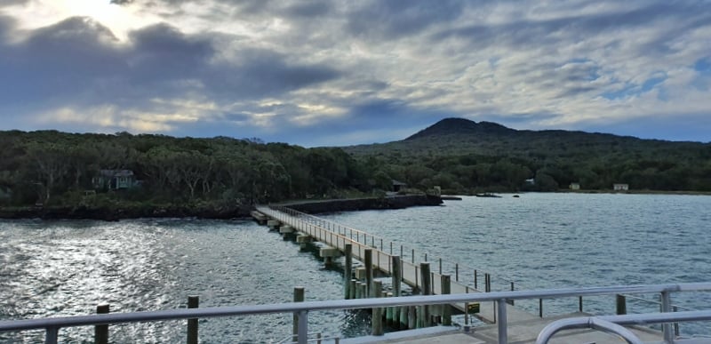 view from the rangitoto wharf