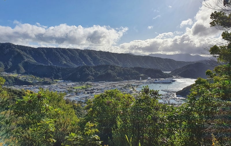 view from the tirohanga track over picton