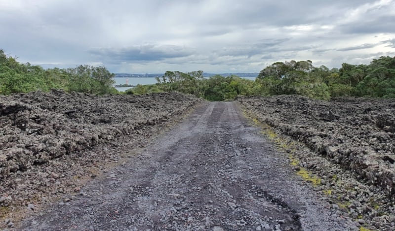 volcanic trails on rangitoto island