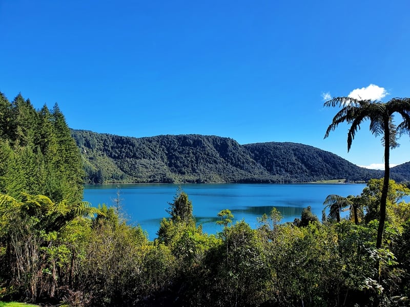 blue lake view in rotorua