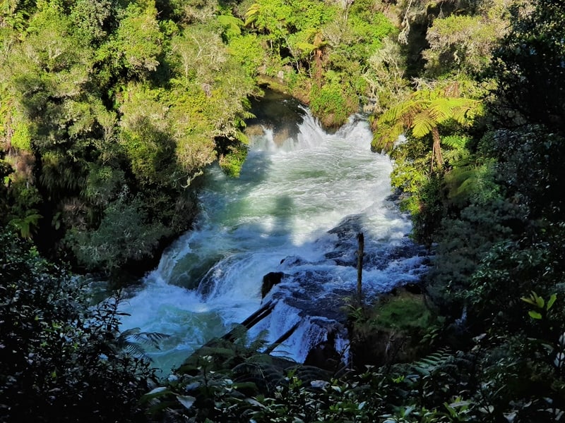 okere falls waterfall rotorua
