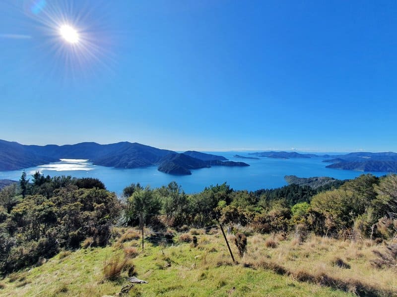 queen charlotte track lookout