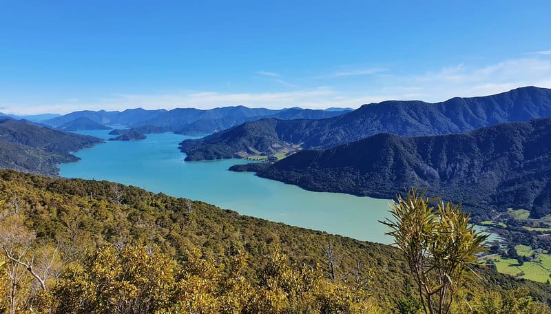 views from the queen charlotte track