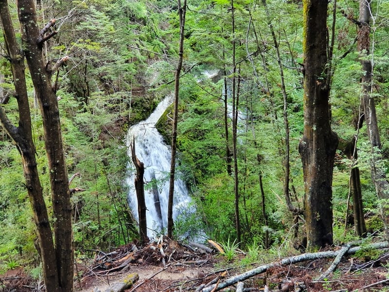 hidden waterfall on fernhill loop track