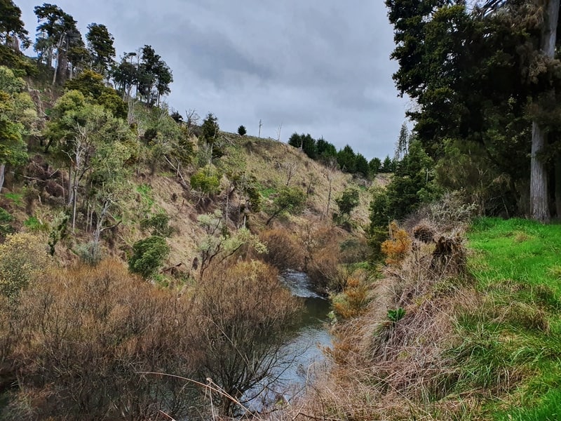 hautapu river in taihape