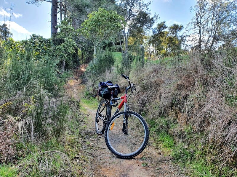 bike on the te ara ahi trail