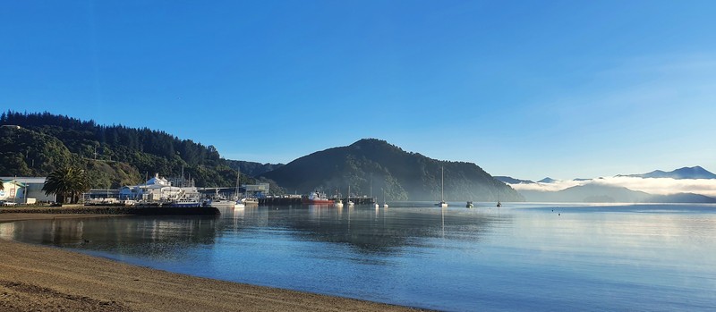 things to do in picton