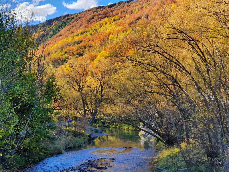 arrow river trail is one of the most common things to do in Arrowtown