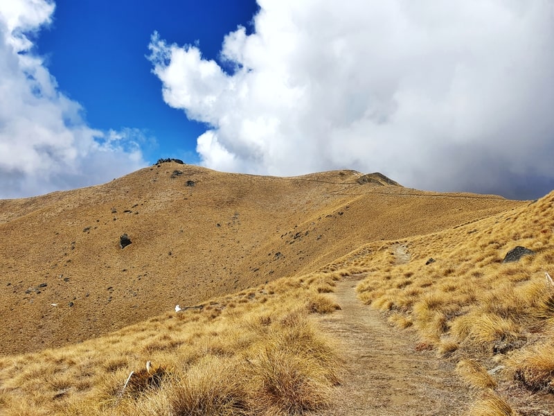 look towards crown peak