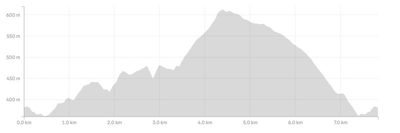 Mt Crichton Loop Track elevation profile