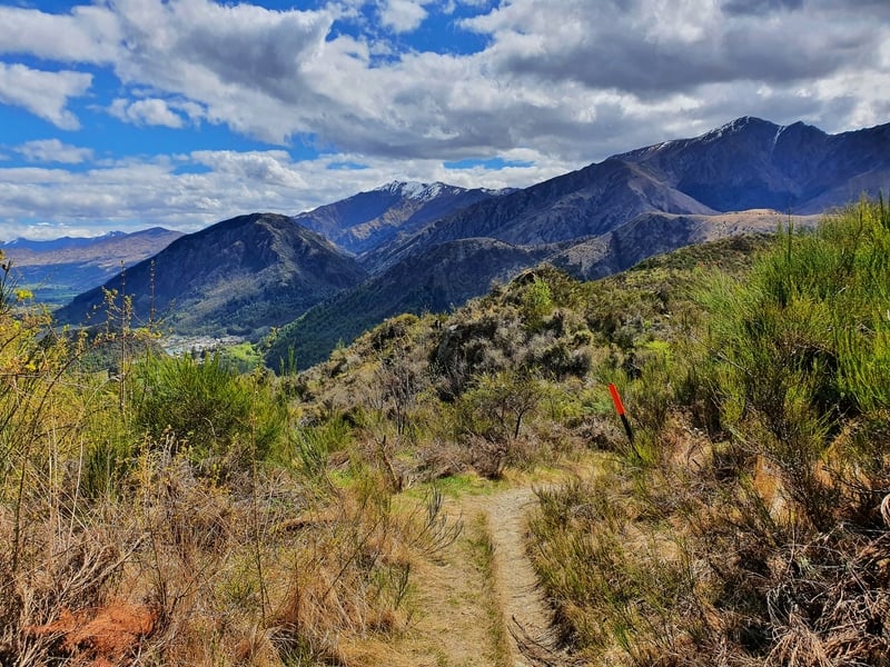 new chum gully track views