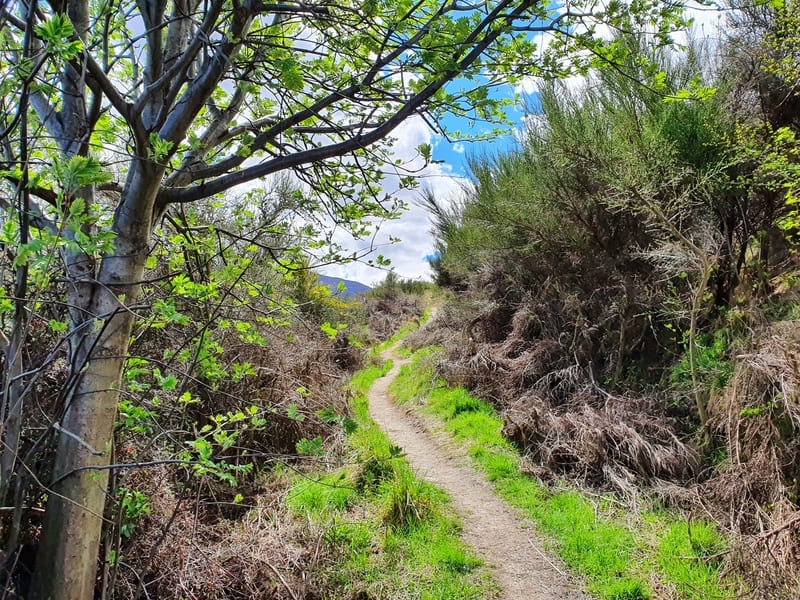 new chum track arrowtown