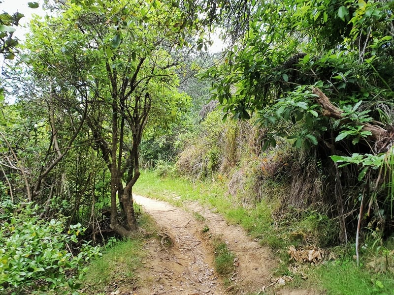orokawa bay scenic reserve