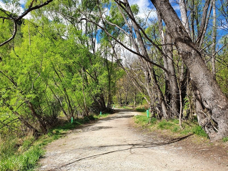 start of new chum gully track is tobins