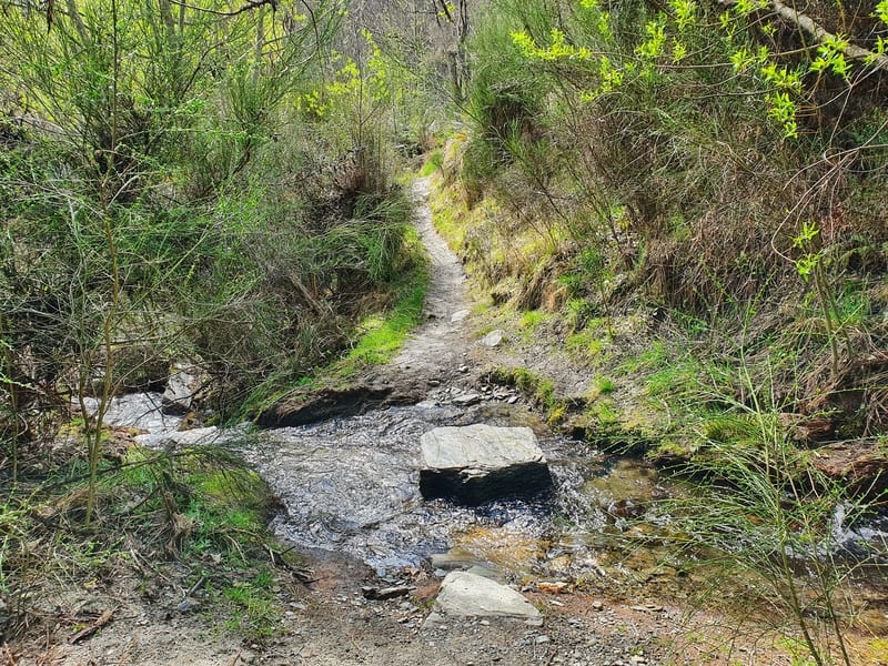 stream crossing on the new chum gully track