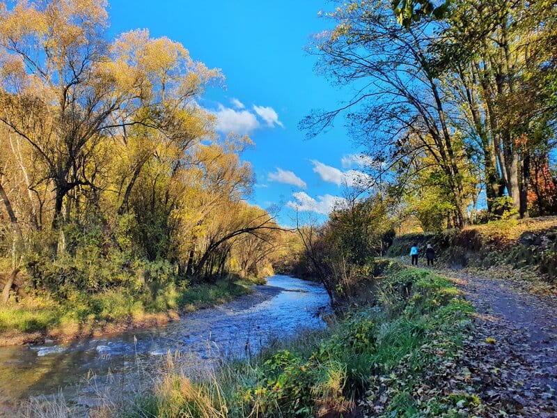 the arrowtown river trail in autumn