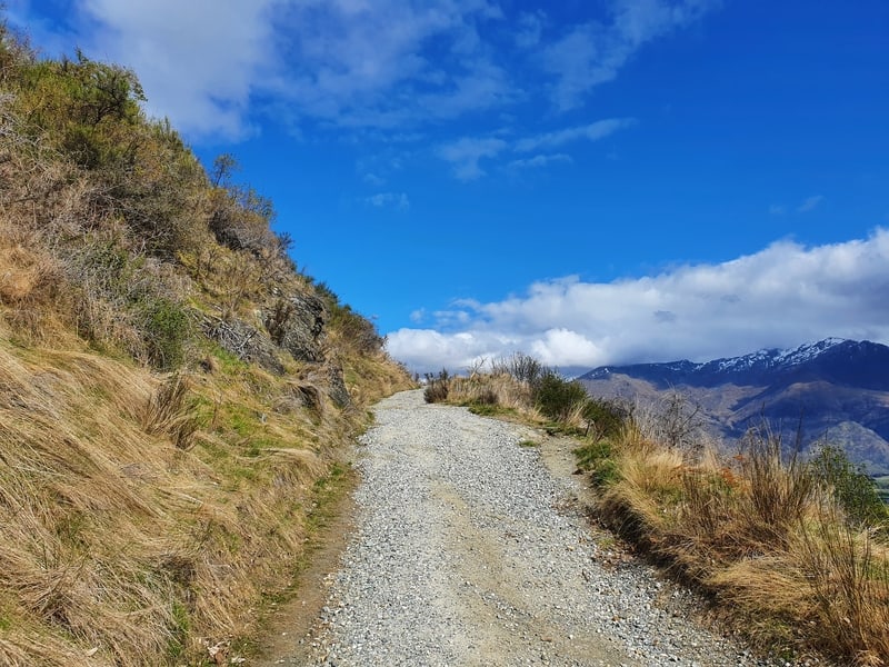 the tobins track terrain