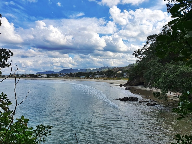 view on the orokawa bay walk