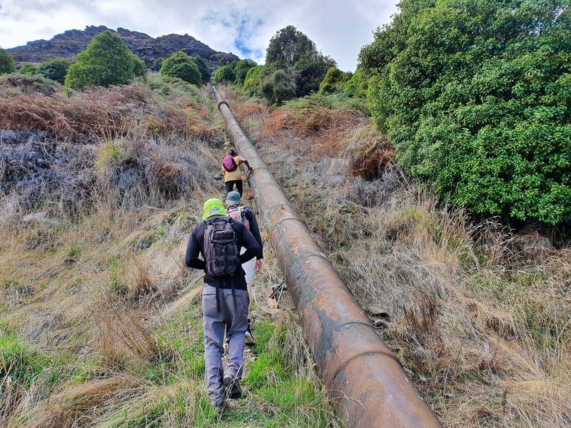 wye creek pipeline track