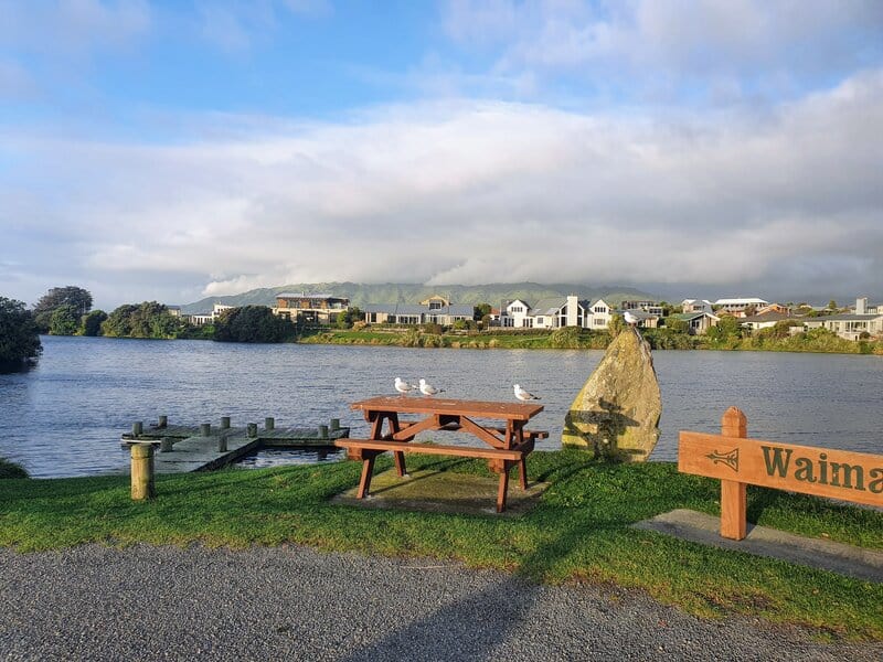 things to do in waikanae include birding at the estaury and lagoon