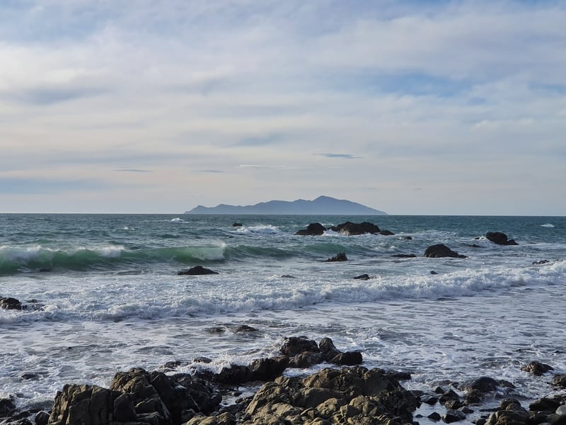 coastal wairaka walk