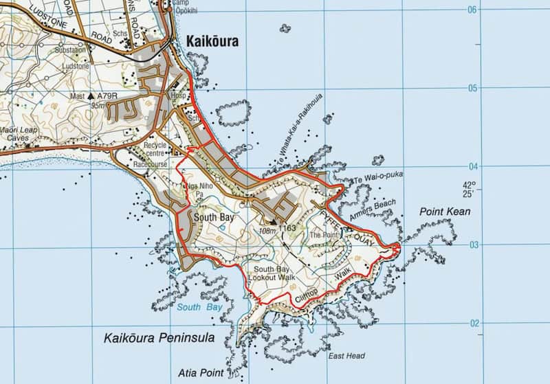 kaikoura peninsula walkway