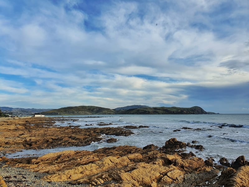 porirua harbour near wairaka walkway