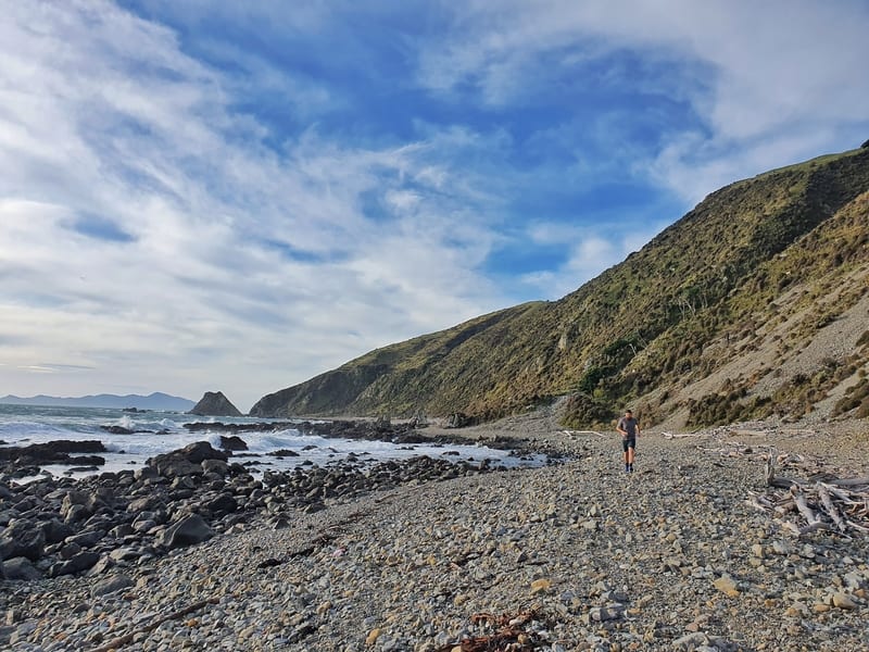 pukerua bay to plimmerton coastal walk