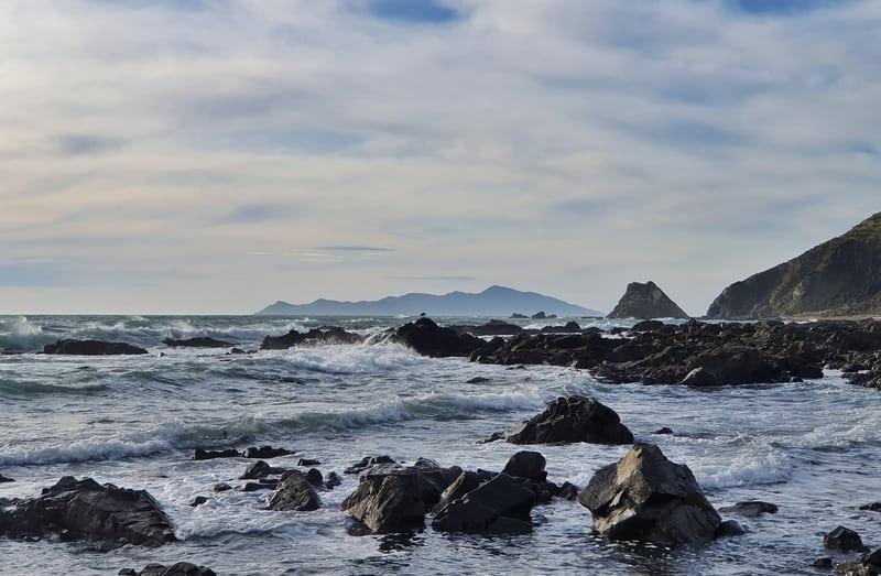 views towards kapiti island