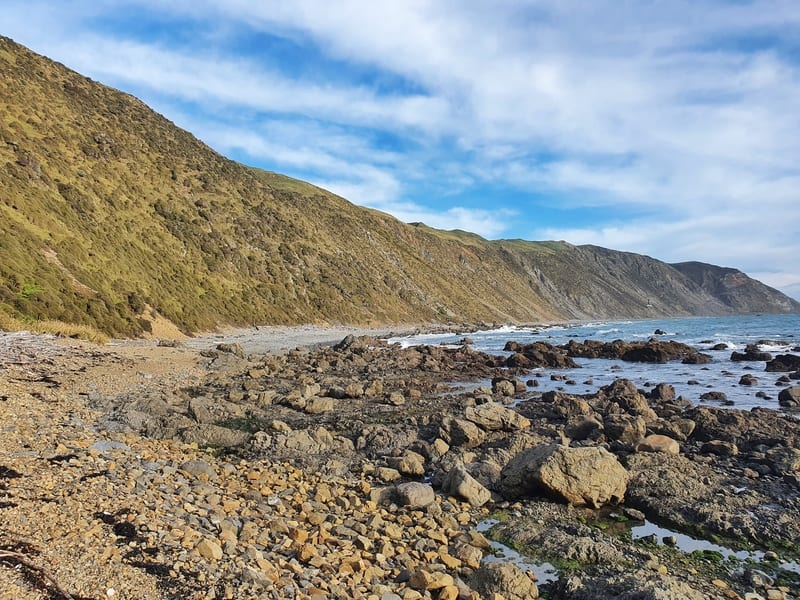 wairaka walkway