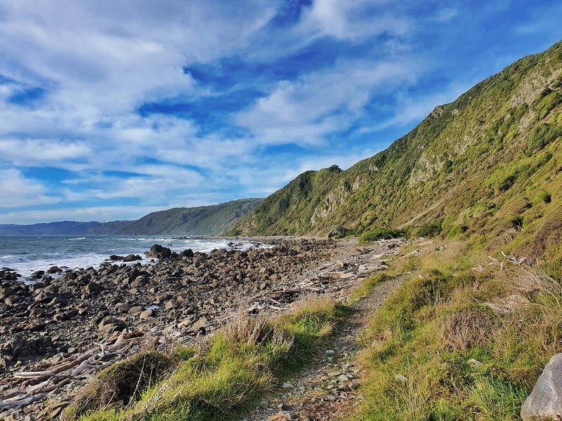 wellington coast between pukerua bay and plimmerton