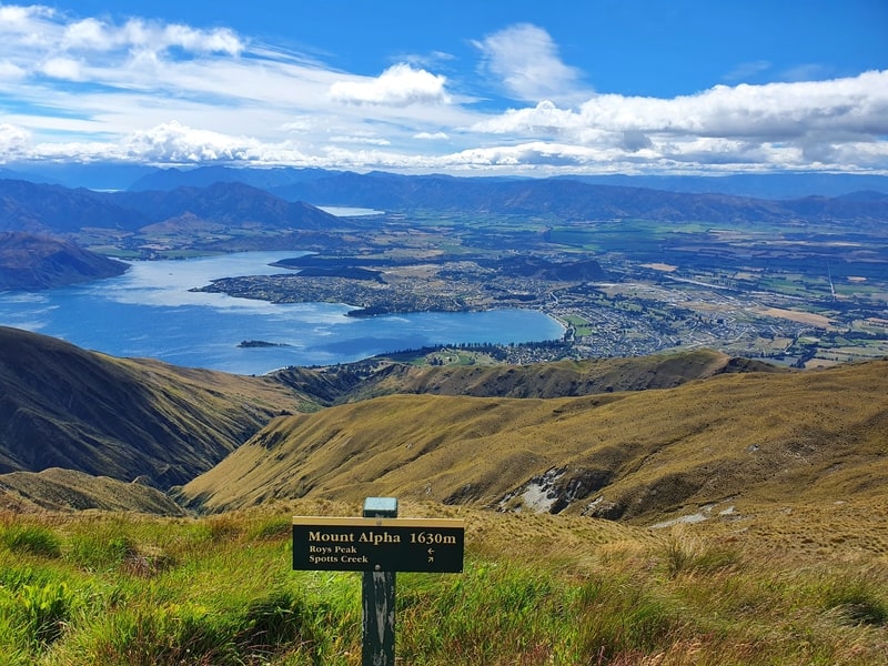 at the top of mount alpha wanaka
