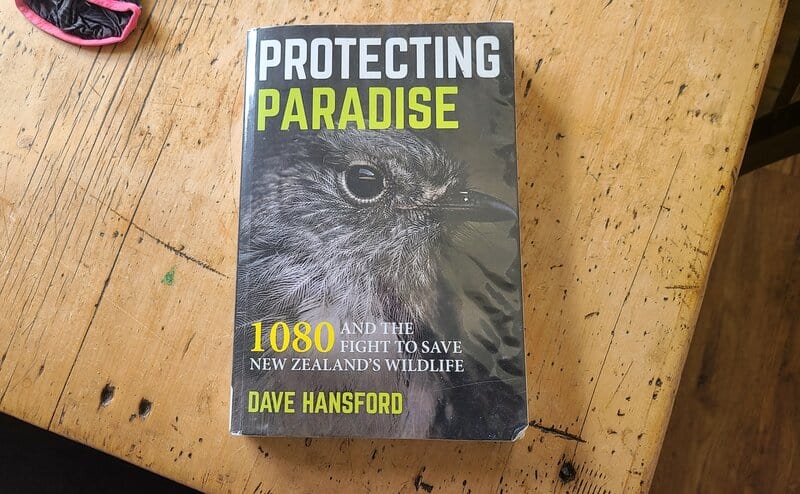 birds of paradise by dave hansford