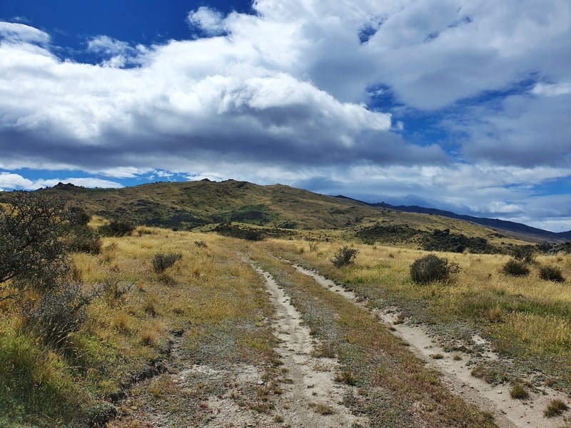 the walking track to mount horn cromwell