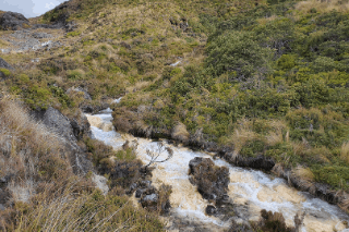 Home Page (75) silica rapids walk