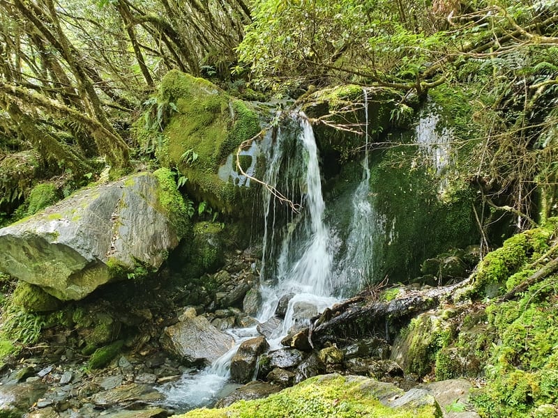 mini waterfall on the roberts point track