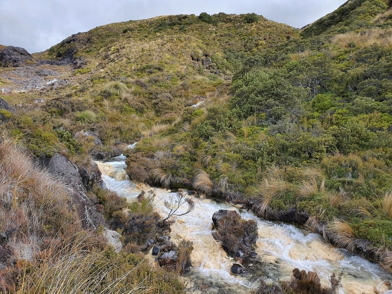 silica rapids tongariro national park