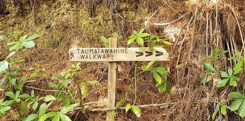 tauamatawahine walkway sign