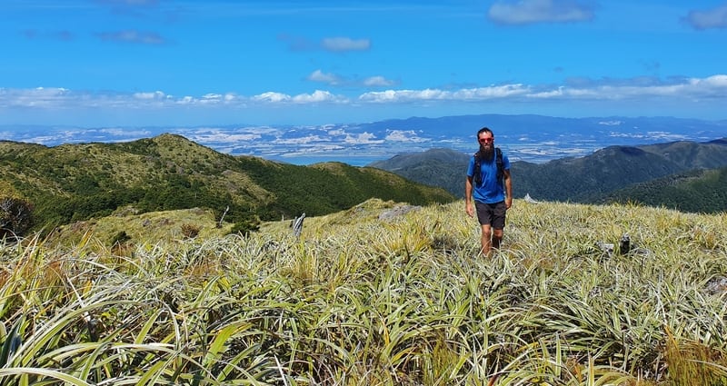 walking mt climie