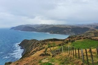 Home Page makara